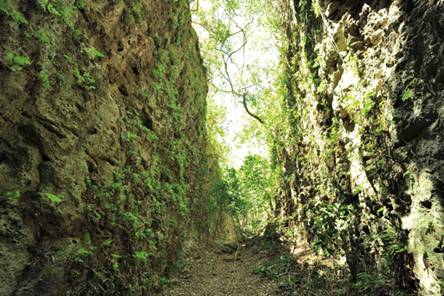 LslPanlong Gorge